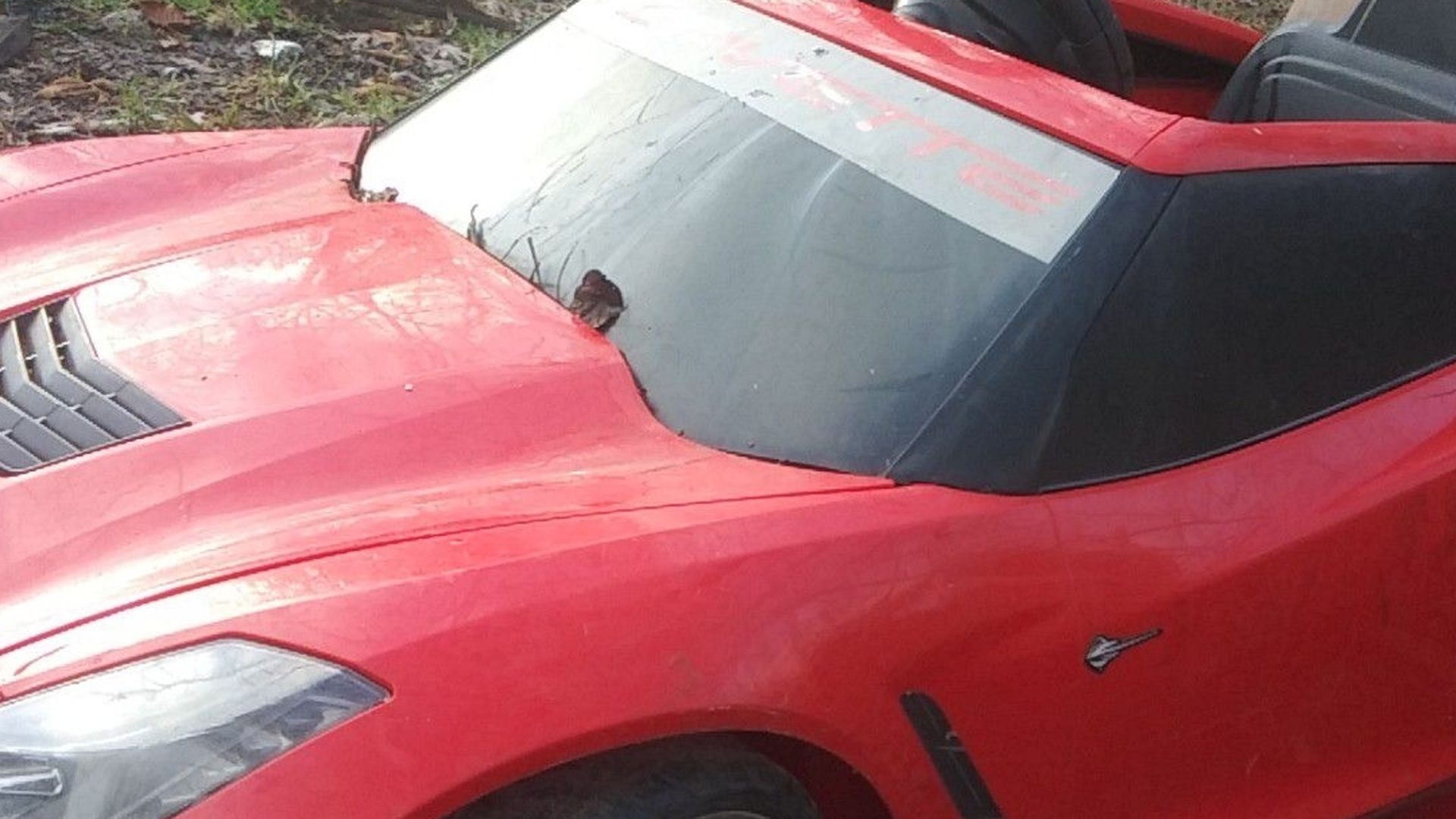 Corvette Power Wheel doesn't have a charger but it has battery