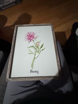 Peony Watercolor Framed Wall Art