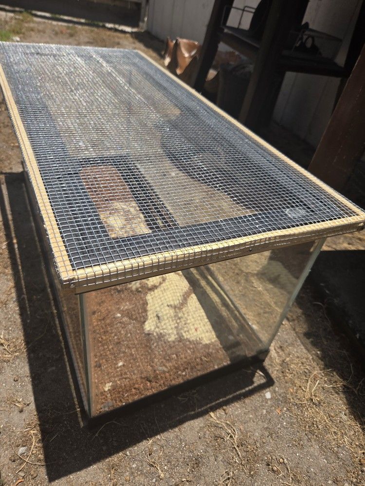 Reptile Tank