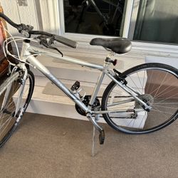 Trek Bike