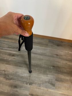 Cane walking stick