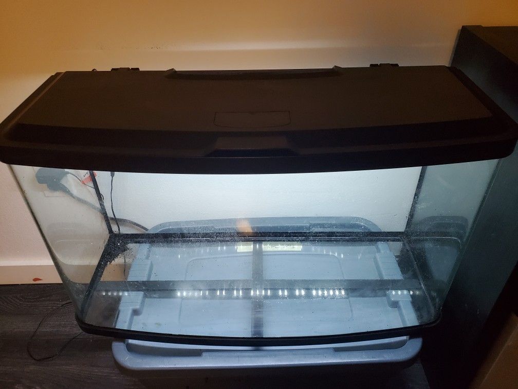 Fluval Vista 23 Gallon Aquarium