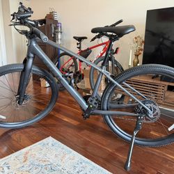 Trek Dual Sport 2 Gen 5 hybrid 
