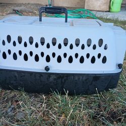 Cat Kennel