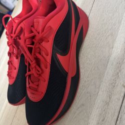 Nike Greek Freak 6 Size 10.5