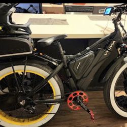 Custom Dual motor E-bike