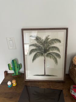 Framed Palm Tree Botanical Print frame