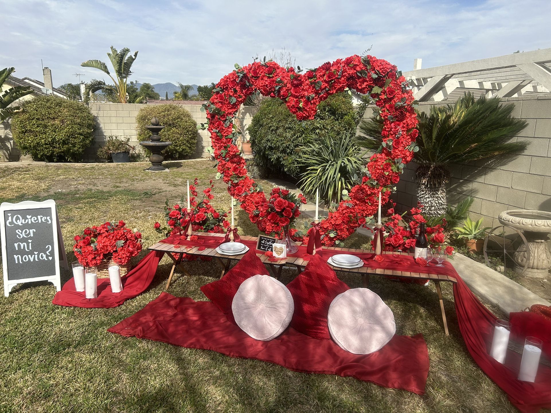 Heart Arch Setup