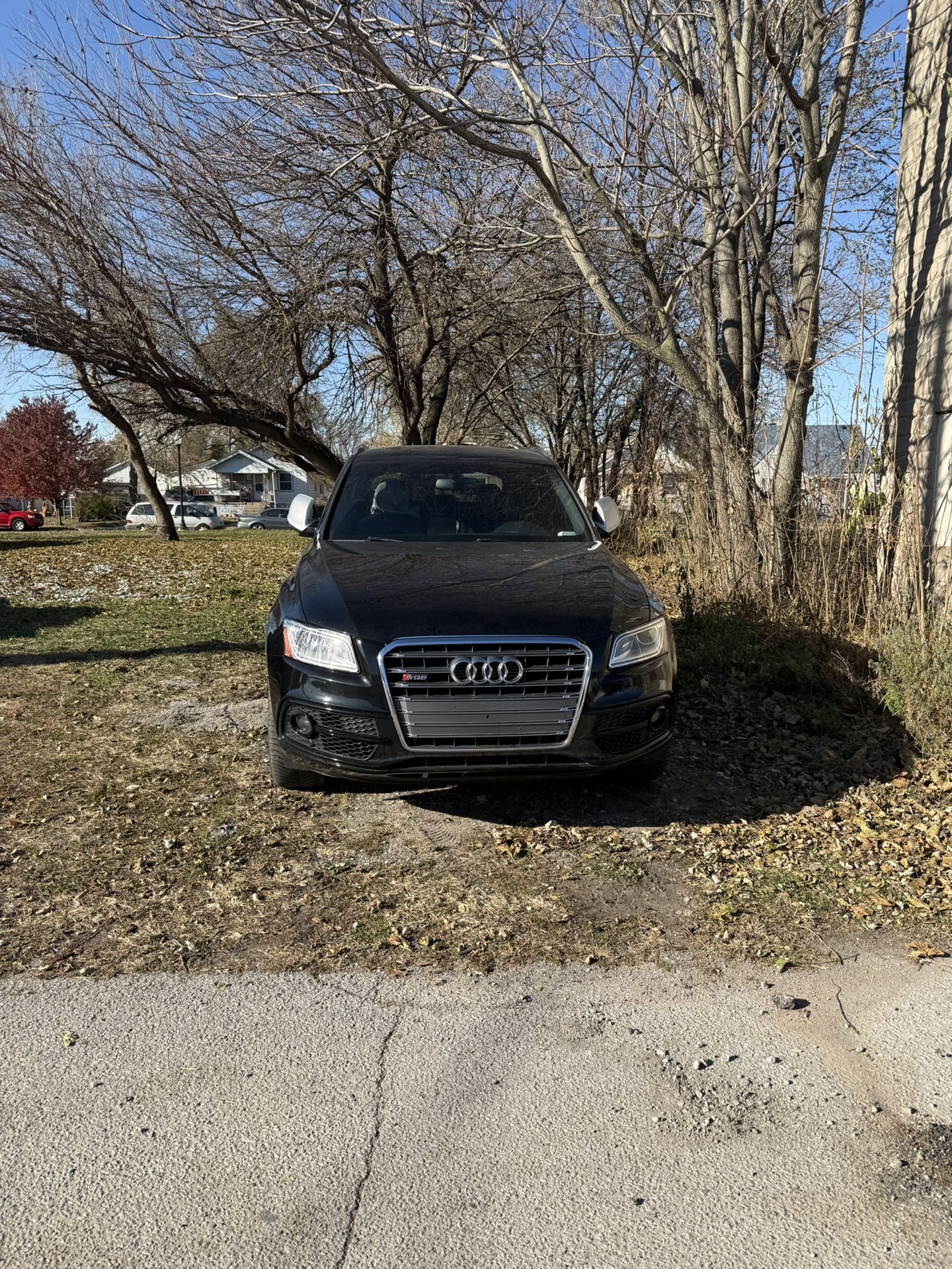 2015 Audi SQ5
