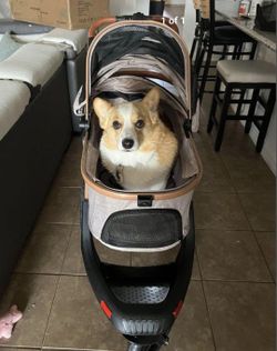 Dog Stroller 