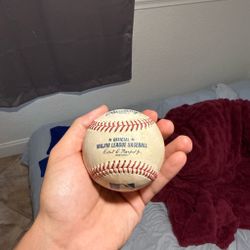 Official Major League Baseball Miami Marlins game 2018