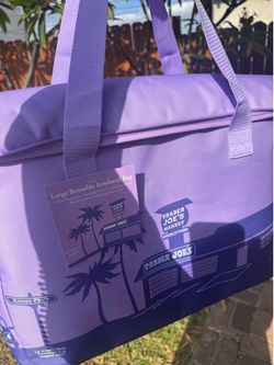 Large Reusable insulated bag