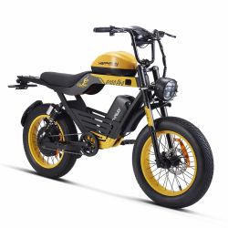 HappyRun G100 Fastest Electric Bike 2000W Dual Batteries Long Range E-Bike