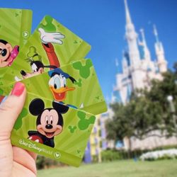 All THEME PARK TICKETS FOR SALE 