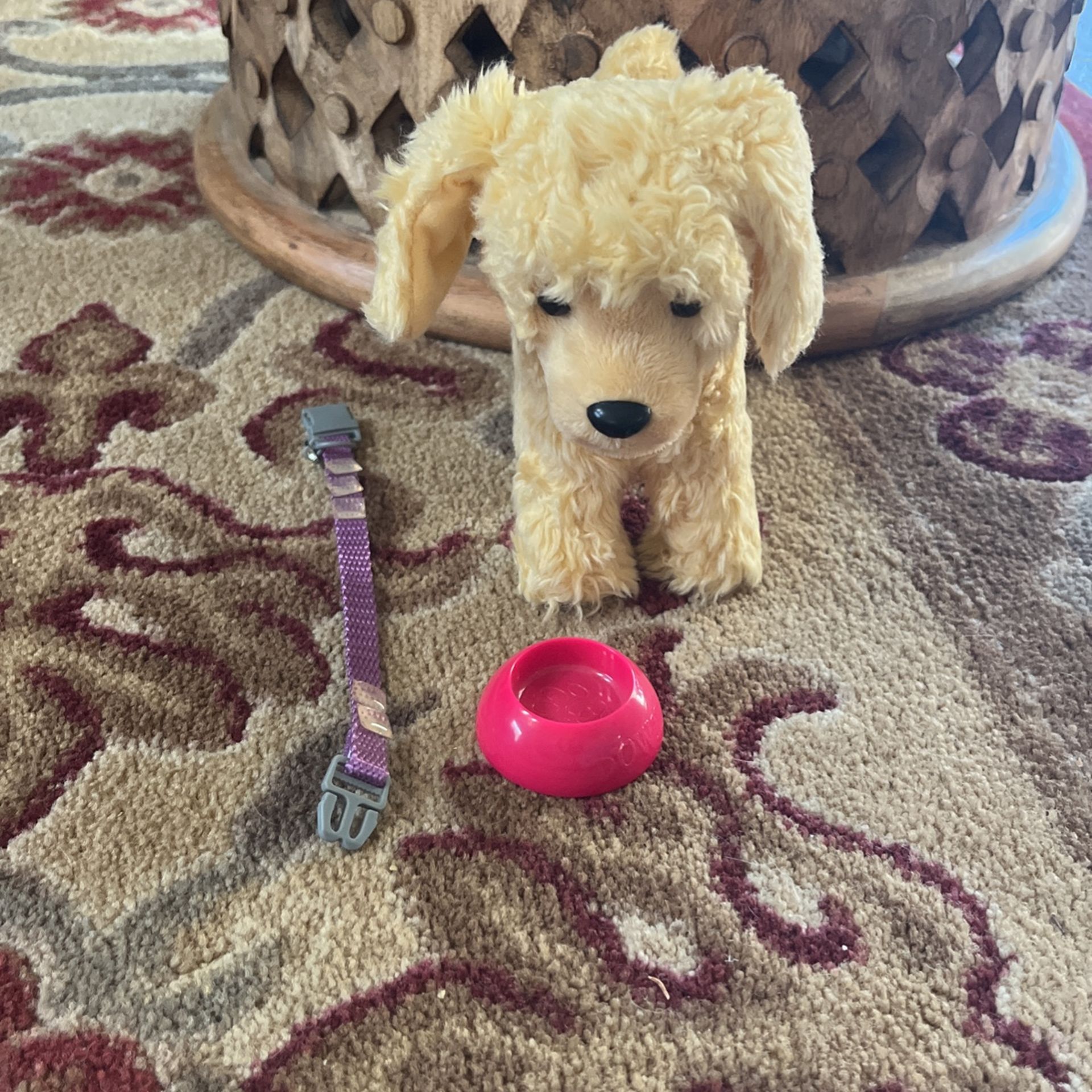 American girl Dog With Collar And Bowl