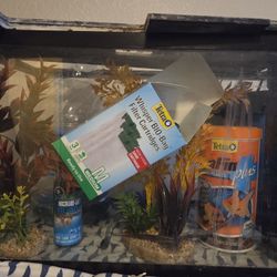 Starter Fish Tank W Pumps/Filters
