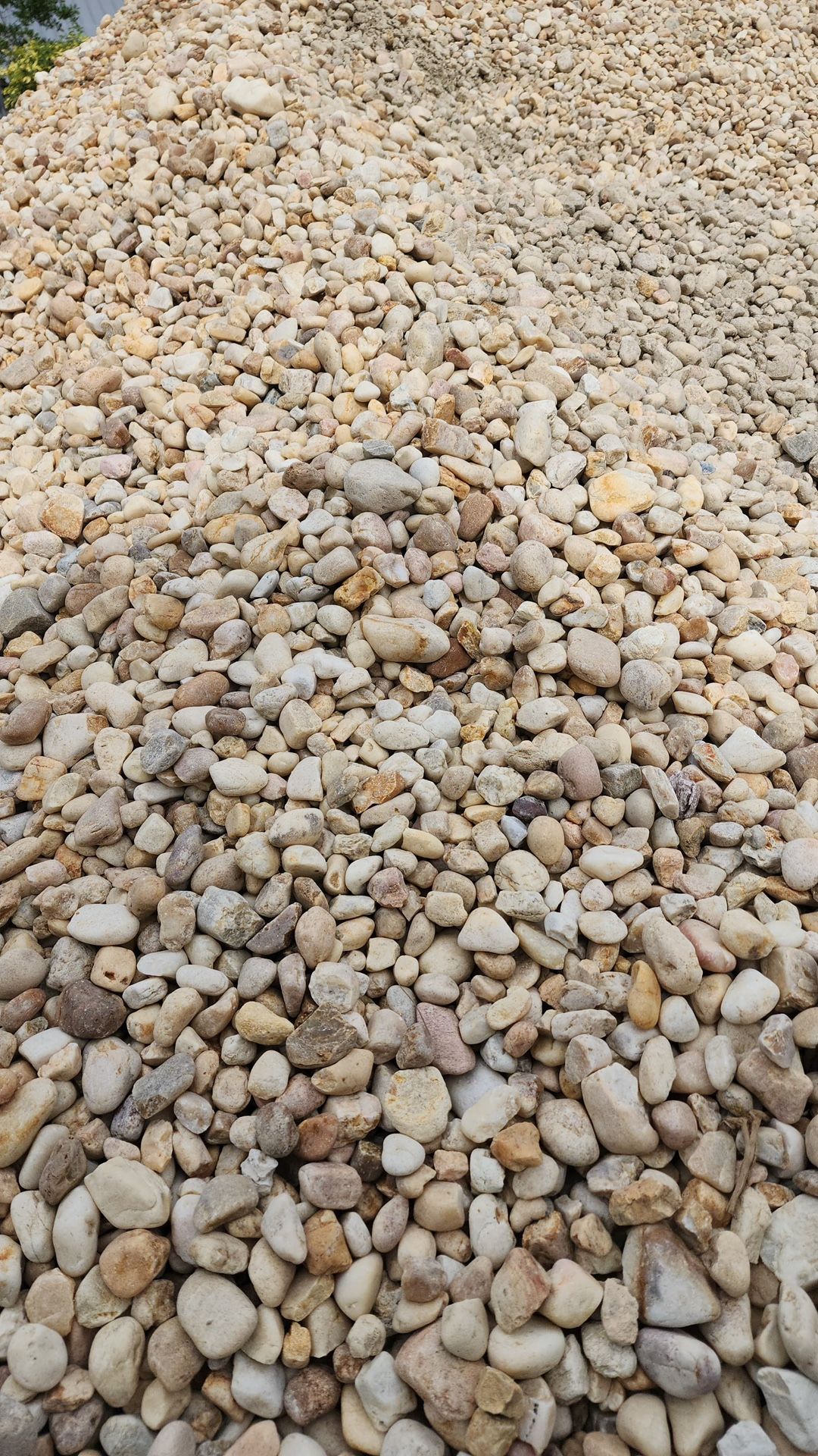 White River Rock - Yard