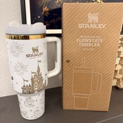 Stanley 40oz Tumbler Cup Disney Theme, Brand New