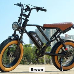 E-bike Brand New With Fast Charge And Mountain E Bike 7 Speeds 