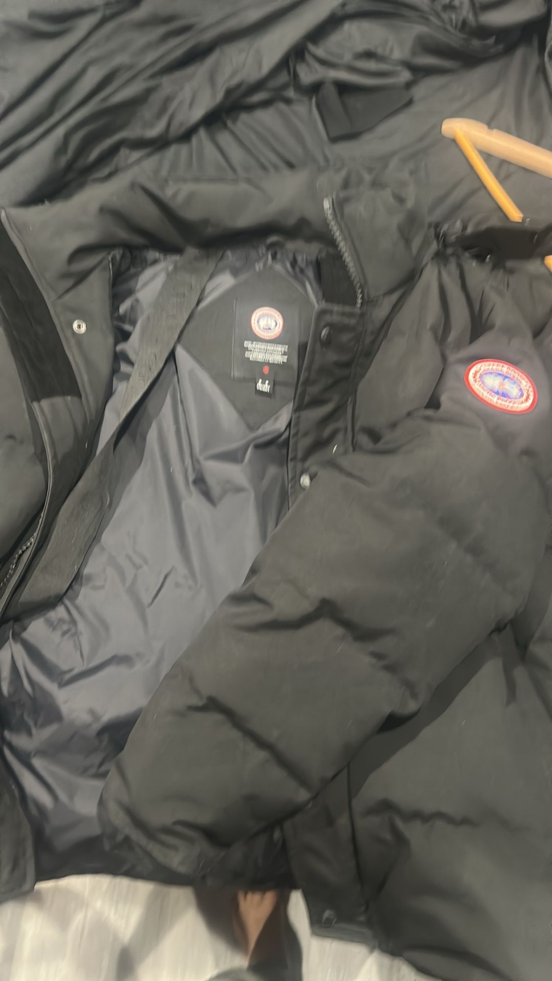 Canada goose (small)