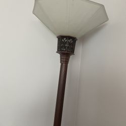 Adjustable Floor Lamp  
