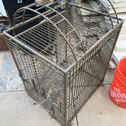 Bird Cage 