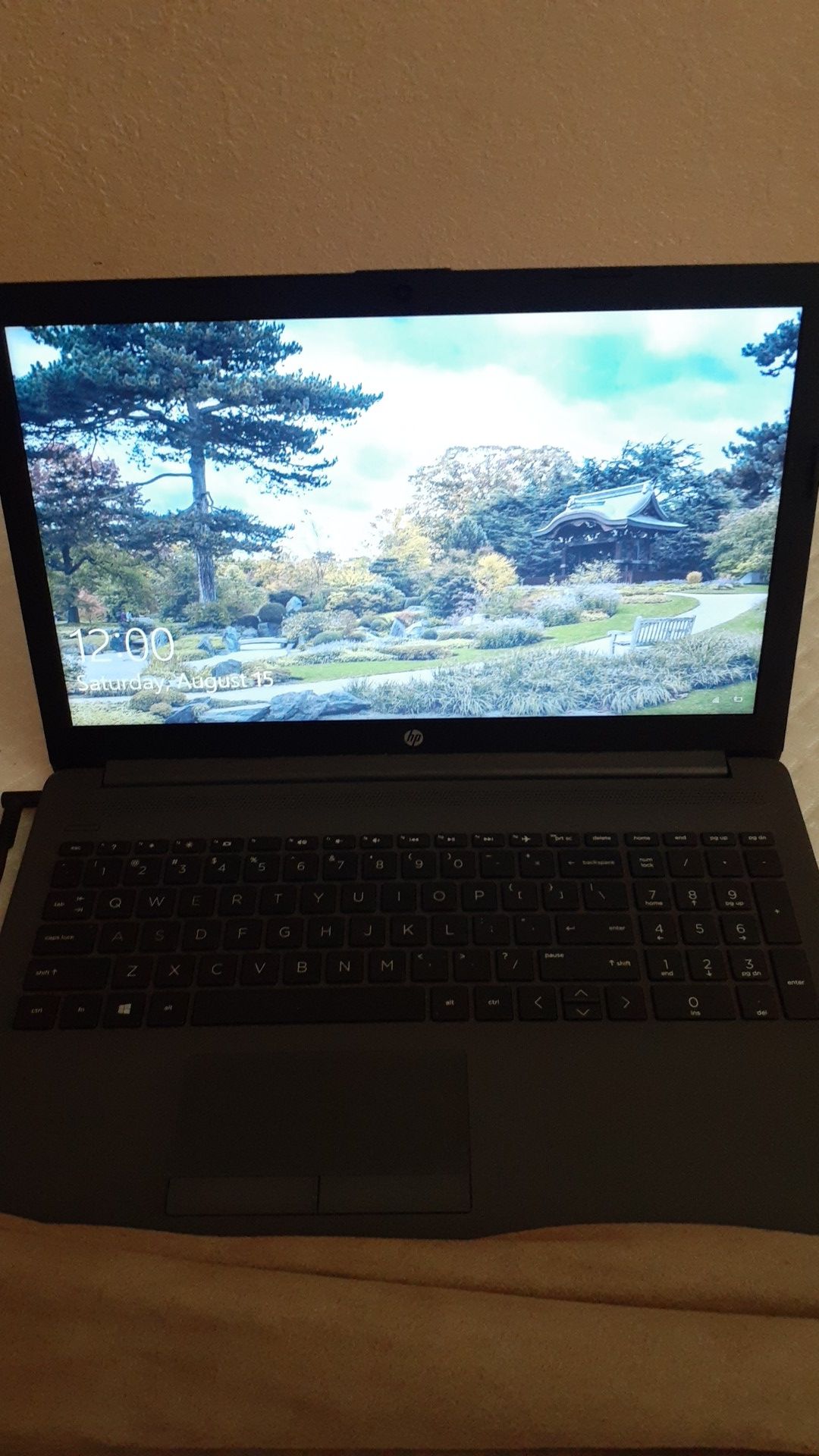 14" hp laptop