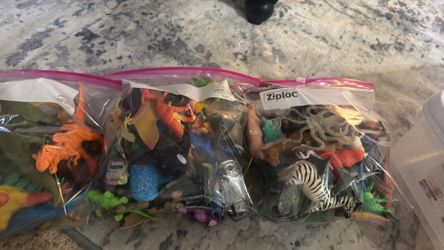 Assorted animals and dinosaurs
