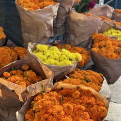 Marigold