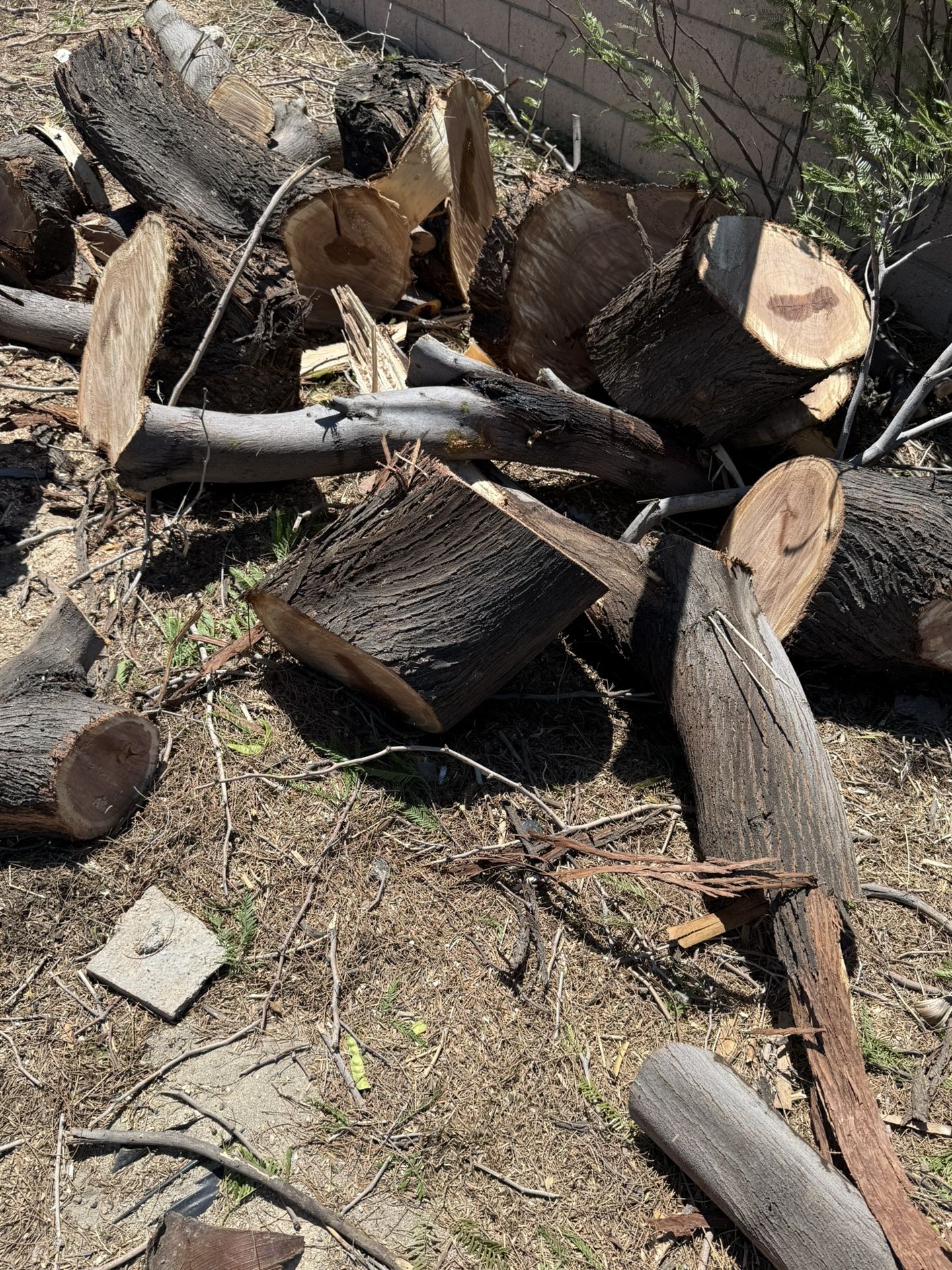 Free Firewood . 