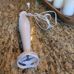 immersion blender 