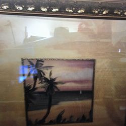 Beautiful Palm Pictures