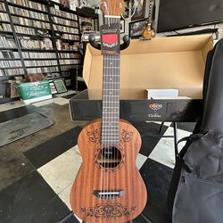 Coco Mahogany Guitar