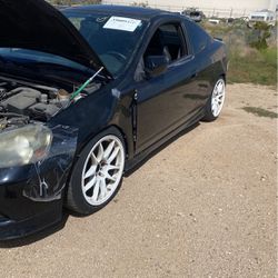 05-06 Acura Rsx Full Part Out 