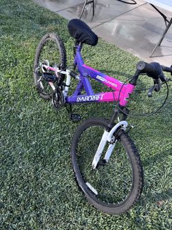 Dynacraft Girls Bike