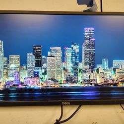 Dell 22 Inch Full HD LCD  Widescreen Monitor 