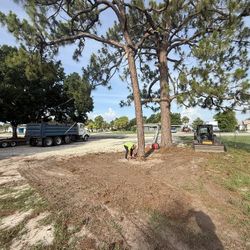 Tree Remove 