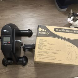 Mini Exercise Bike