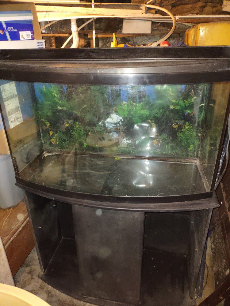55 Gallon Bow Front Fish Tank With Stand And Many Accessories 