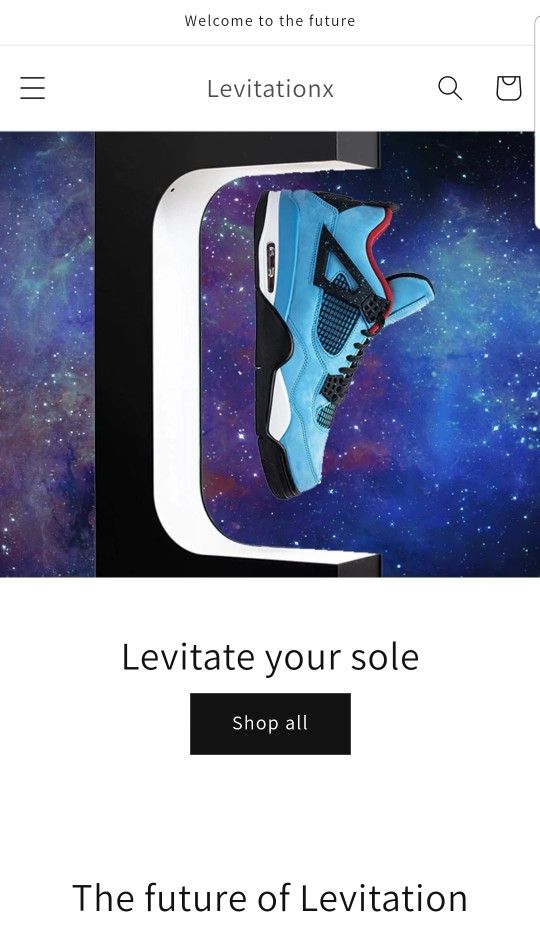 Dropshipping Website 