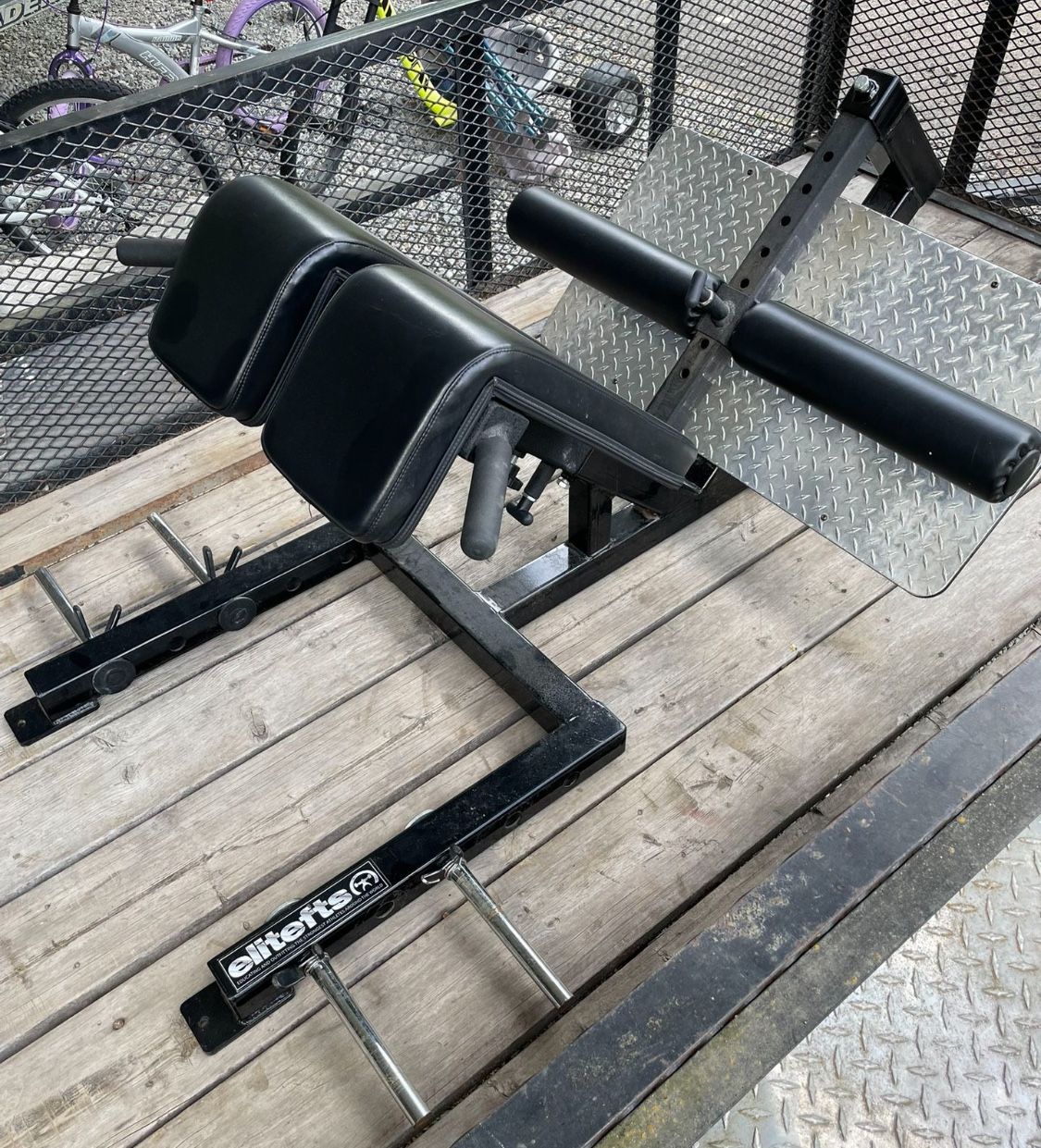 EliteFts Professional Back Raise Machine