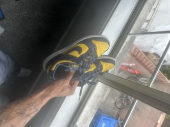 Michigan Nike dunks!