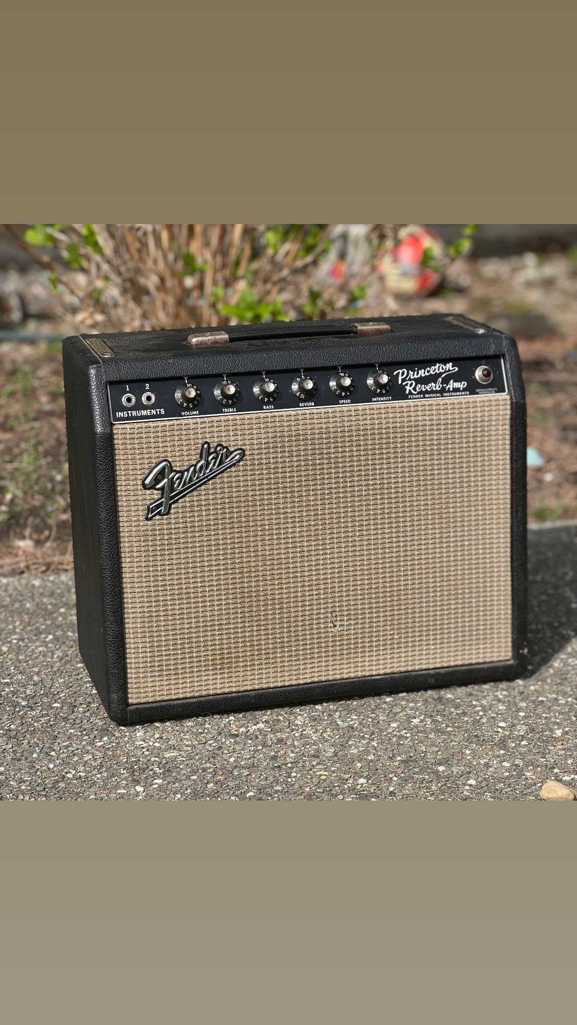 1965 Fender Princeton Reverb Vintage