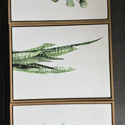 Set Of 3 Botanical Artwork 