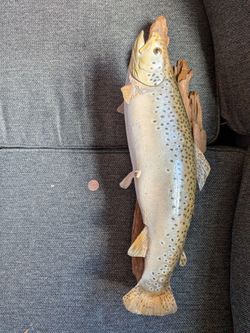20" trout mounted taxidermy fish fishing