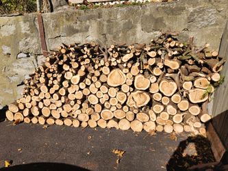 Freshly Cut Cedar
