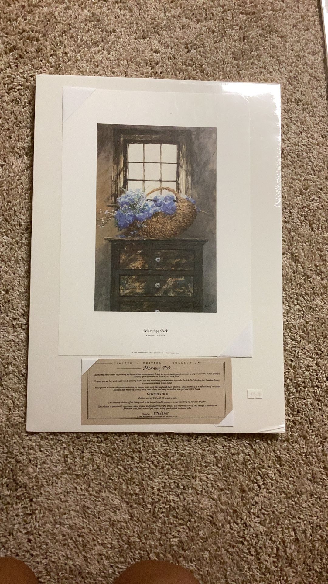 Morning Pick by Randall Higdon