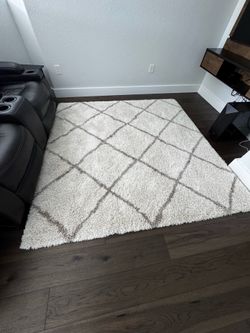 Area rug 7 x 7