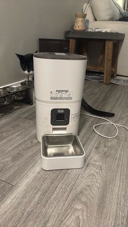 Pitpet automatic pet feeder