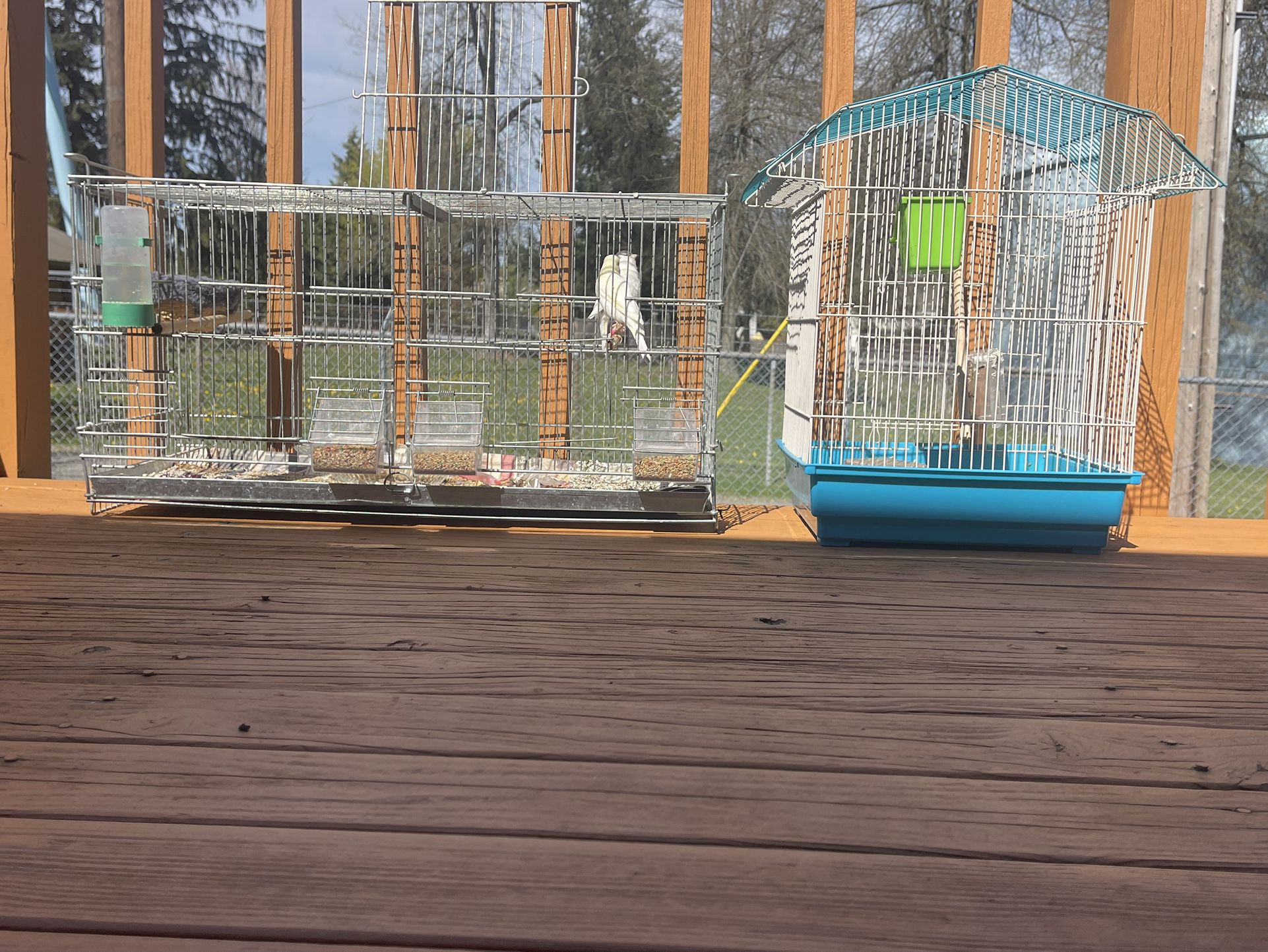 Canary Breeding Cage 